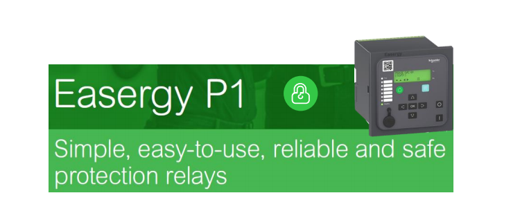 EASERGY P1